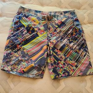 Robert Graham Swim Trunks 34